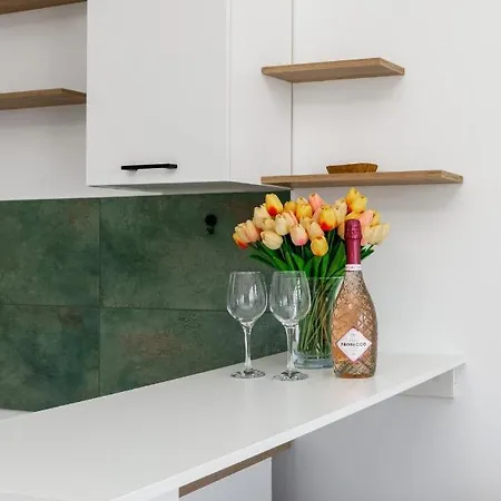 Elegant Studio By Renters *